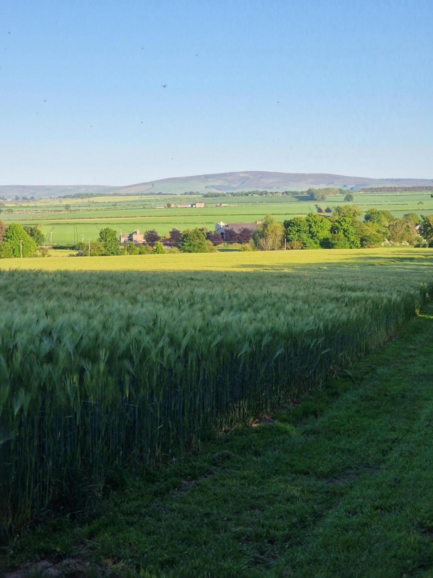 Jerusalem Farm Pods Tranent Kültér fotó